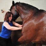 Sheena treating horse